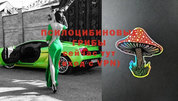 молекула духа Новозыбков