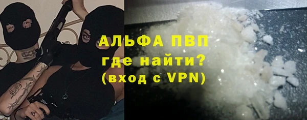 молекула духа Новозыбков