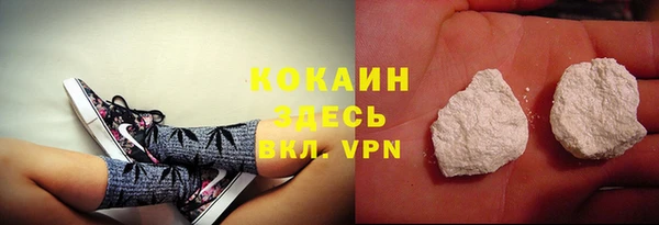 мдпв Нея