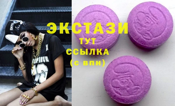 молекула духа Новозыбков