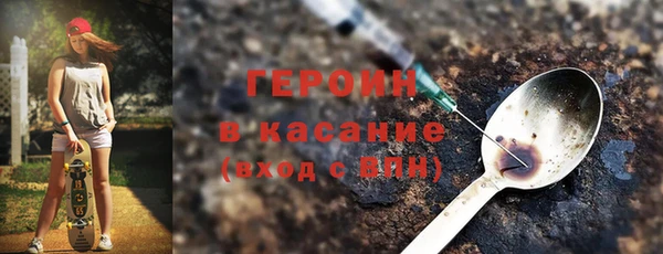 молекула духа Новозыбков